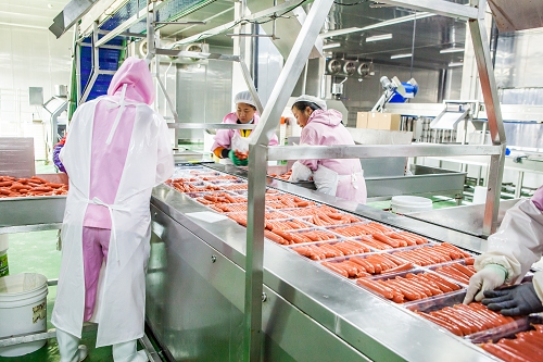 全自动拉伸膜生产设备