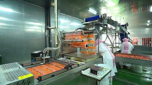 全自动拉伸膜生产设备